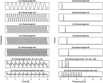 Detecting Ultra- and Circadian Activity Rhythms of Dairy Cows in Automatic Milking Systems Using the Degree of Functional Coupling—A Pilot Study